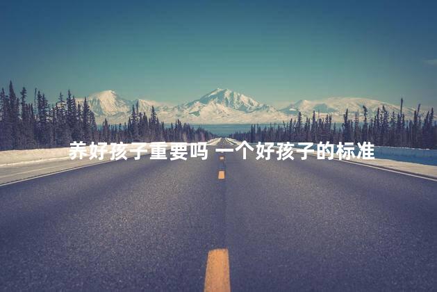 养好孩子重要吗 一个好孩子的标准